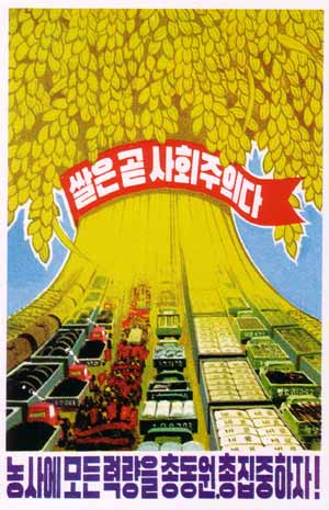 crops and food north korea postcard
